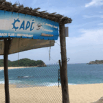 Captura de Pantalla 2025-09-10 a las 17.35.01